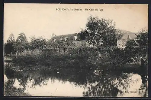 AK Poissons, Un Coin du Parc