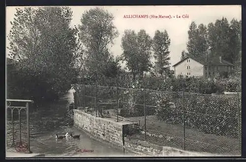 AK Allichamps, La Cité avec des canards près de l`eau et une maison en arrière-plan