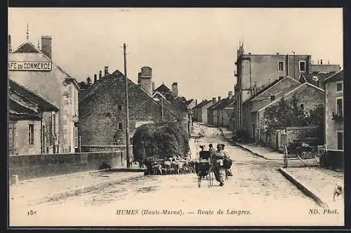 AK Humes, Route de Langres avec troupeau de moutons et Café du Commerce