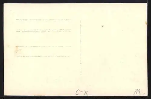 AK Lerchenfeld b. Thun, Wegpartie vor Reihenhäusern