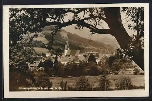 AK Gresten /N.-Ö., Teilansicht mit Bergpanorama und Feldern