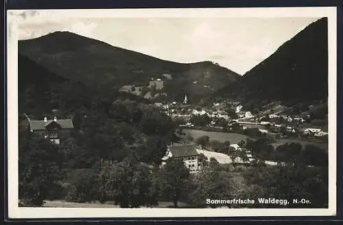 AK Waldegg /N.-Ö., Gesamtansicht mit Bergpanorama