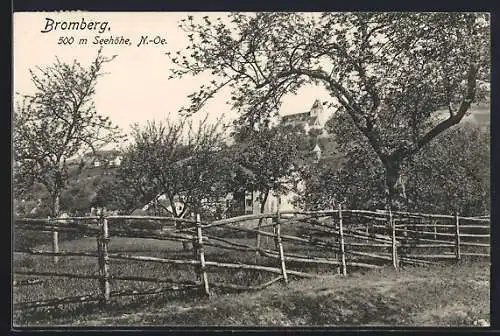 AK Bromberg /N.-Ö., Teilansicht mit Kirche von einer Obstwiese aus