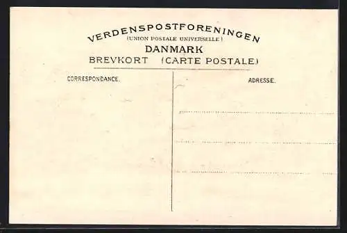 AK Viborg, Budolfi Kloster, H. Thomsen Skraeder