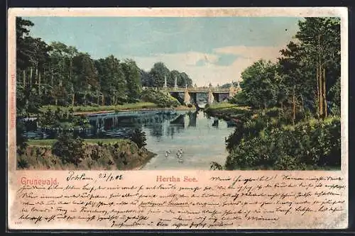 AK Berlin-Grunewald, Hertha-See mit Brücke