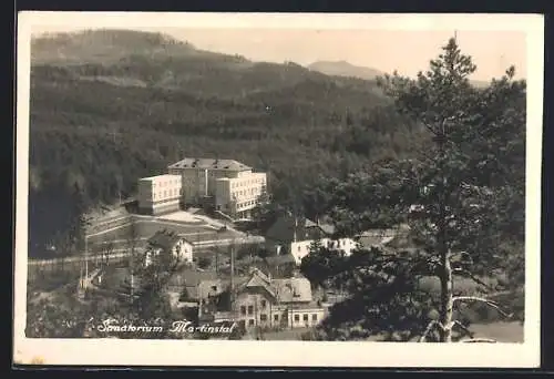 AK Zwickau i.B. / Cvikov, Blick auf Sanatorium Martinstal, Wald