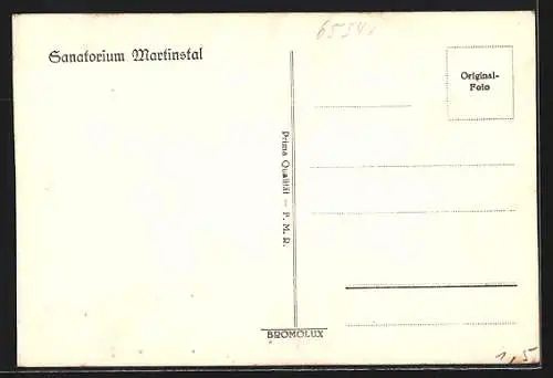 AK Zwickau i.B. / Cvikov, Blick auf Sanatorium Martinstal, Wald