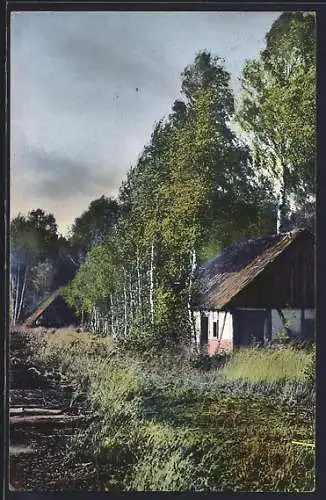 AK Photochromie NR 1982: Waldpartie m. Häusern & Feldern