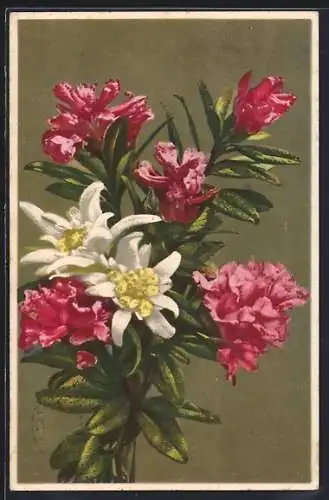 AK Photochromie NR 2038: verschiedene Bergblumen, Edelweiss