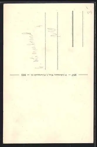 AK Lassing-Fall, Blick auf den Wasserfall