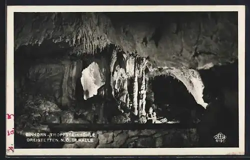 AK Dreistetten /N. Ö., Einhorn-Tropfsteinhöhle, III. Höhle