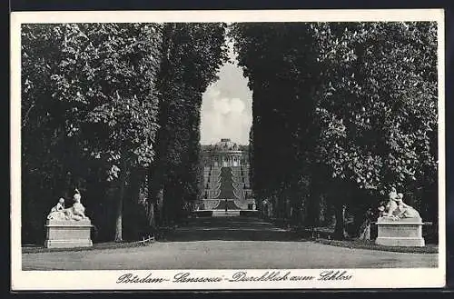 AK Potsdam, Durchblick zum Schloss Sanssouci