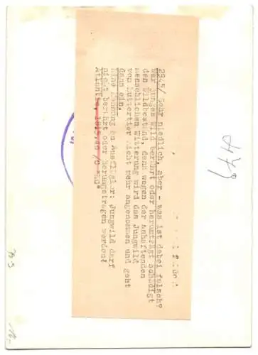 Fotografie Arbeitsmaid mit Rehkitz im Arm 1940, Rückseitig Leitfaden für Jungwild