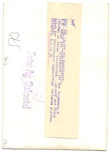 Fotografie Atlantic, Ansicht Schneekoppe, Wetterwarte total eingeschneit 1940