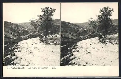 Stereo-AK Jérusalem, La Vallée de Josaphat