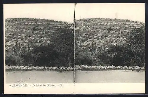 Stereo-AK Jerusalem, Le Mont des Oliviers