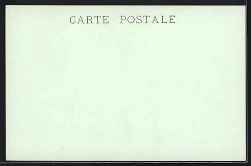 Stereo-AK Les Eaux-Bonnes /Les Pyrénées, Vue Générale