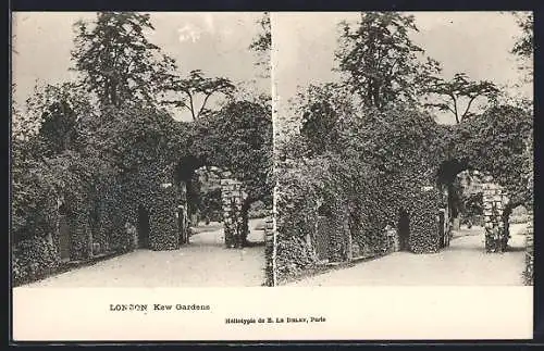 Stereo-AK Londres, jardins de Kew