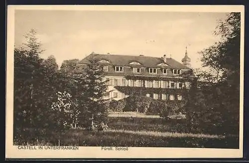 AK Castell in Unterfranken, Fürstliches Schloss, Ansicht mit Park