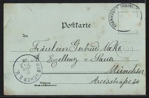 Mondschein-AK Freiburg i. B., Münster, Gesamtansicht mit Bergpanorama