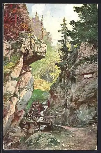 Künstler-AK Steinwandklamm, Eingang in die Klamm