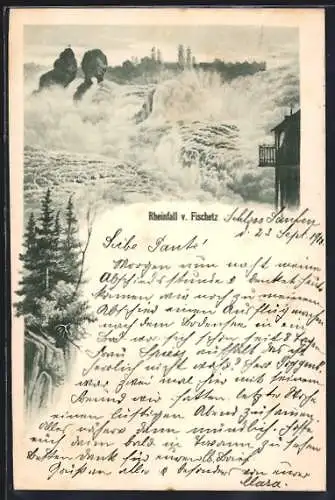 Lithographie Rheinfall, Wasserfall v. Fischetz