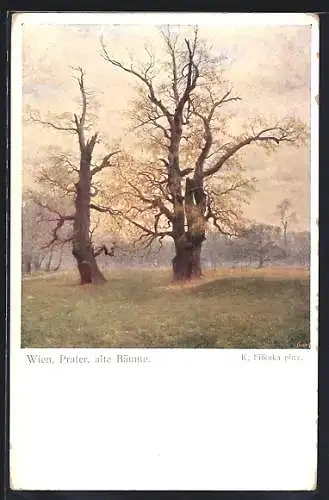 Künstler-AK Brüder Kohn (B.K.W.I) Nr. 854 /6: Wien, Alte Bäume im Prater