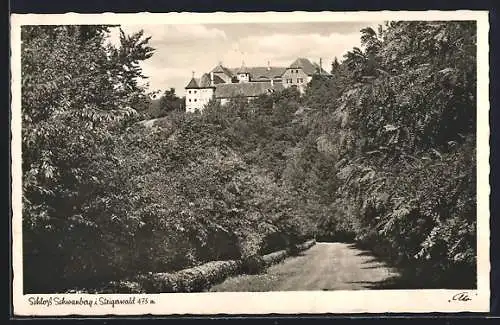 AK Schloss Schwanberg i. Steigerwald, Ortsansicht mit Strasse