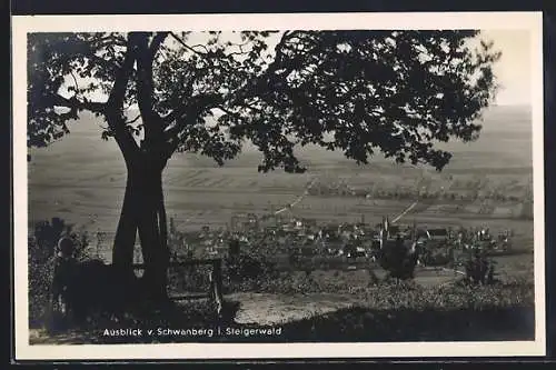 AK Iphofen /Steigerwald, Ortsansicht vom Schwanberg