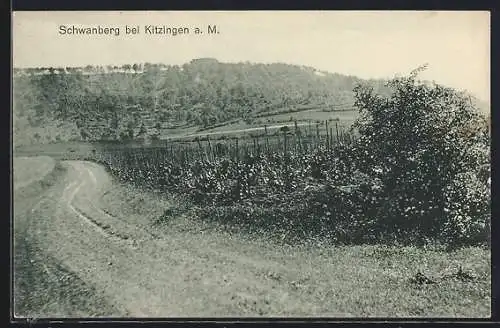 AK Schwanberg bei Kitzingen a. M., Ortsansicht von einem Feldweg aus