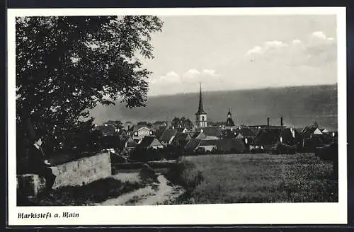 AK Marktsteft a. Main, Teilansicht mit Mauerweg