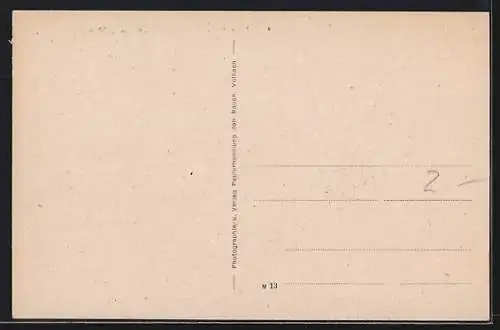 AK Volkach a. M., Institut u. Oberes Tor