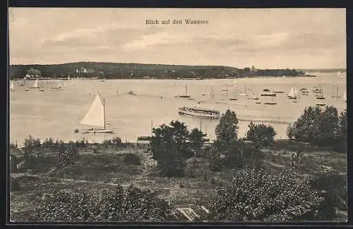 AK Berlin-Wannsee, Wannsee-Blick mit Dampfer