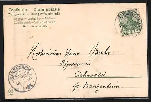 Künstler-AK Catharina Klein: Pfirsiche mit Weintrauben