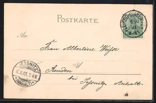 Lithographie Altenburg / S.-A., Altenburger Bauernhochzeit