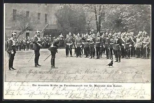 AK Kaiser Wilhelm II. mit dressirter Krähe im Parademarsch