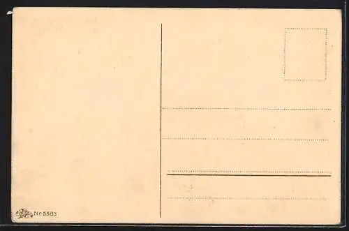 Künstler-AK Kallista: Wartburg unter dem Sternenhimmel, Martin Luther, Reformationsjubiläum 1917