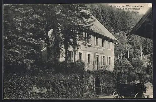 AK Seebach / Schwarzwald, Gasthaus Wolfsbrunnen