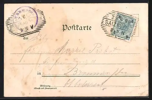 Lithographie Reichenhall, Ortsansicht, Colonaden, Frau in Tracht