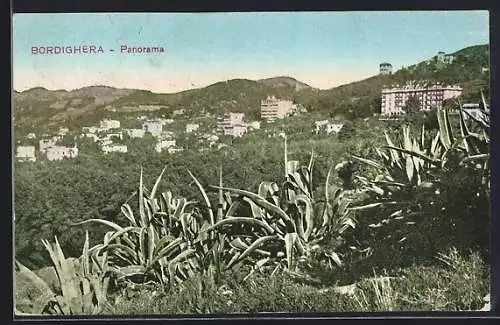 AK Bordighera, Panorama