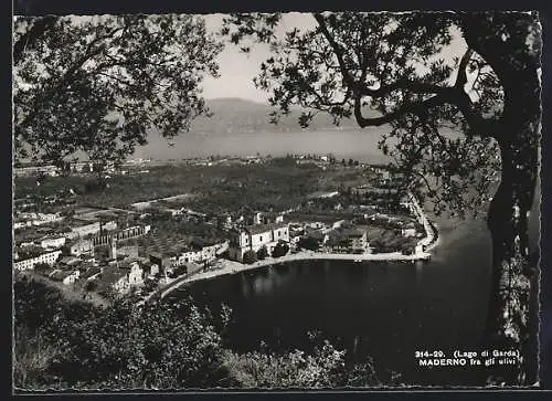 AK Maderno /Lago di Garda, Ortsansicht aus der Vogelschau