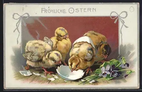 AK Osterküken picken an Eierschale