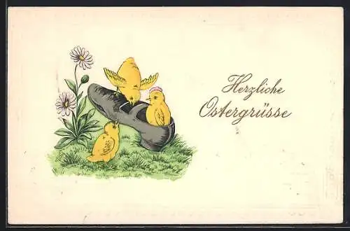 AK Drei Osterküken an einem Schuh