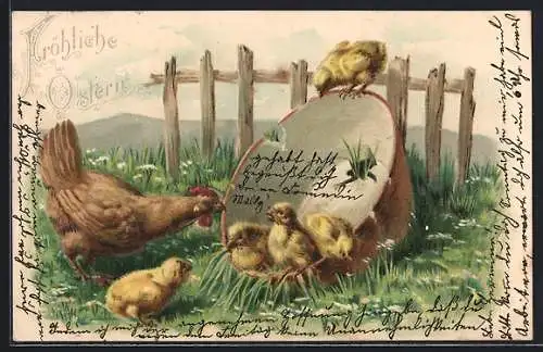 AK Osterküken mit ihrer Mutter an einem alten Topf