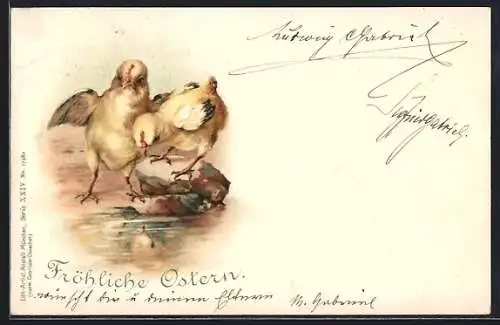 AK Zwei Osterküken am Wasser