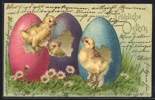 AK Osterküken schlüpfen aus bunten Ostereiern