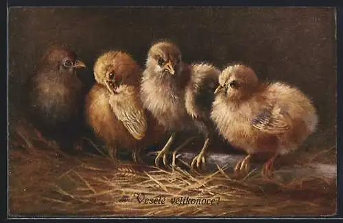 AK Vier Osterküken im Stall