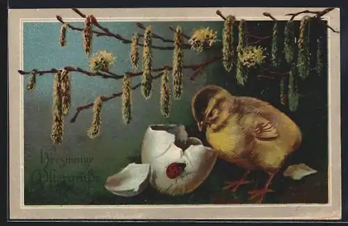 AK Osterküken mit zerbrochenem Ei und einem Marienkäfer
