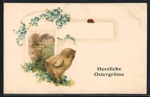 AK Ein Osterküken beobachtet einen Marienkäfer