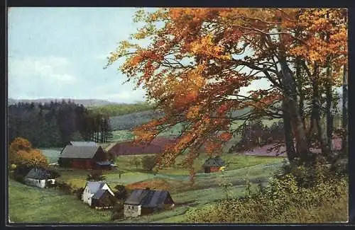 Künstler-AK Photochromie: Frauenbach b. Neuhausen, Herbstlandschaft